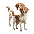 (2 Pack) Brittany Spaniel Magnets - Vibrant Orange White Dog Art - Happy Canine Companion Decor - Pet Lover Fridge Accessory - 5 Inches On Longest Side - Thick Durable Magnet - Made in USA - MAG24462