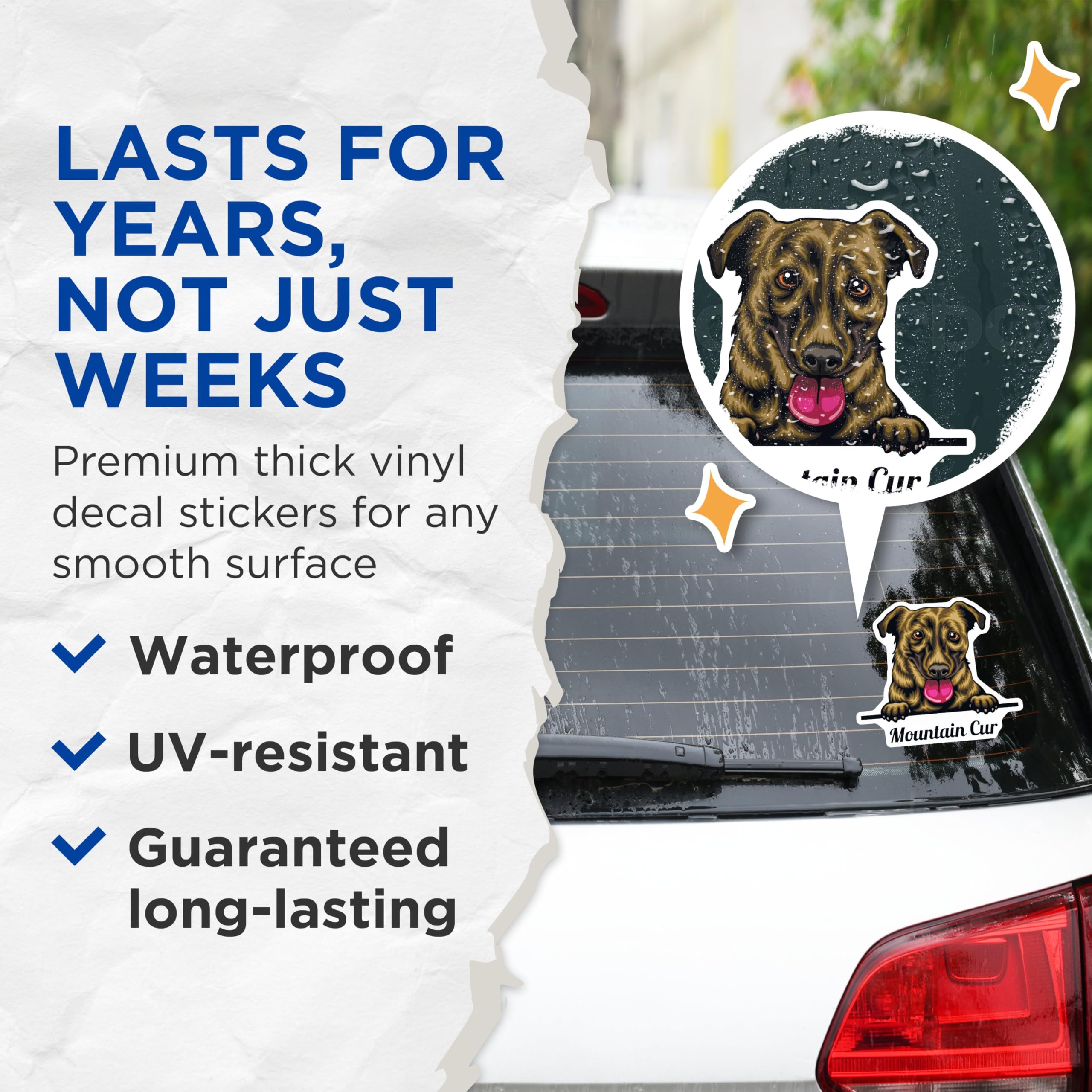 (2 Pack) Mountain Cur Dog Stickers - Cute Pet Dog Decal - Animal Lover Stickers - 5" On Longest Side - Sticks to Smooth Flat Surfaces - Made in USA - BMCS4220