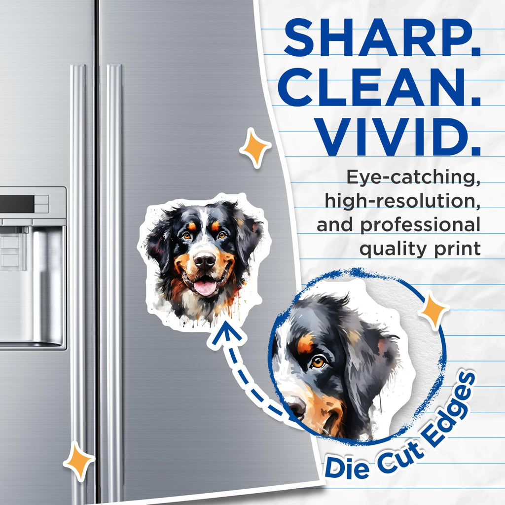 (2 Pack) Bernese Mountain Dog Magnets - Watercolor Berner Art - Happy Dog Fridge Decor - 5 Inches On Longest Side - Thick Durable Magnet - Made in USA - MAG29162