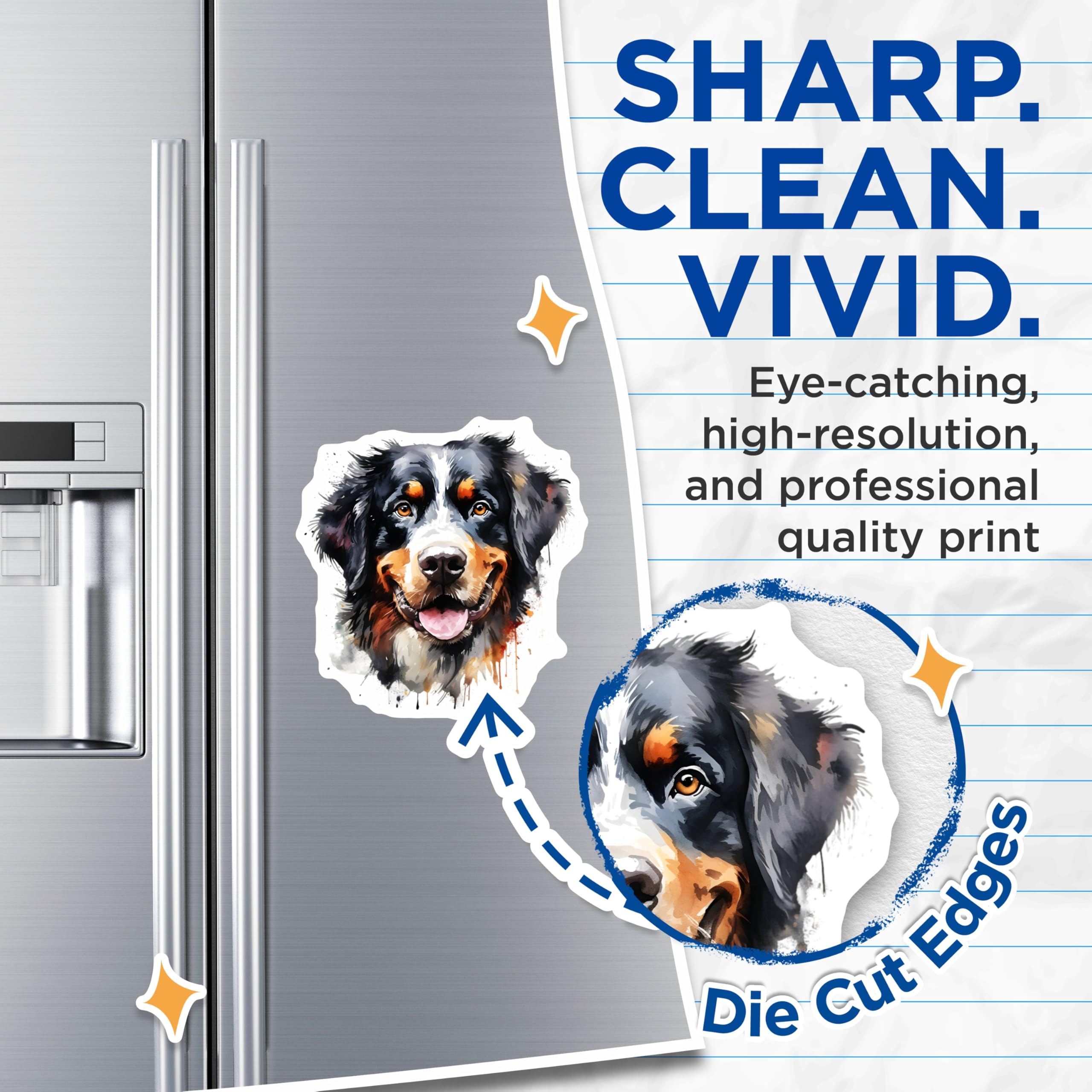 (2 Pack) Bernese Mountain Dog Magnets - Watercolor Berner Art - Happy Dog Fridge Decor - 5 Inches On Longest Side - Thick Durable Magnet - Made in USA - MAG29162
