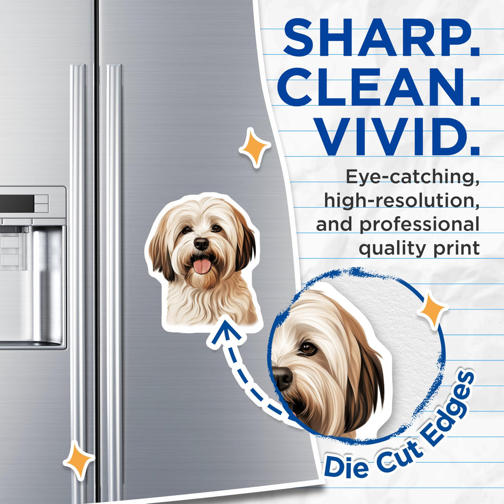 (2 Pack) Shih Tzu Dog Magnets - Pet Lover Refrigerator Decor - Cute Animal Art Home Accent - 5 Inches On Longest Side - Thick Durable Magnet - Made in USA - MAG28625
