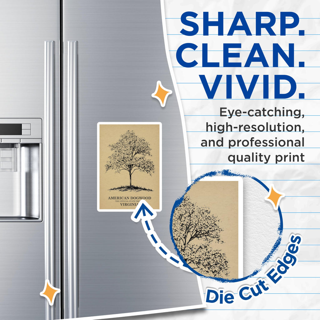 (2 Pack) Dogwood Tree Magnets - Virginia State Tree Decor - Nature Botanical Art - 5" On Longest Side - Premium Magnet - for Cars, Refrigerators, Toolboxes, Lockers - Made in USA - MAG17745