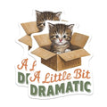 (2 Pack) Cute Kitten Box Stickers - Funny Cat Quote - Animal Lovers Sticker - 5" On Longest Side - Sticks to Smooth Flat Surfaces - Made in USA - BMCS5925
