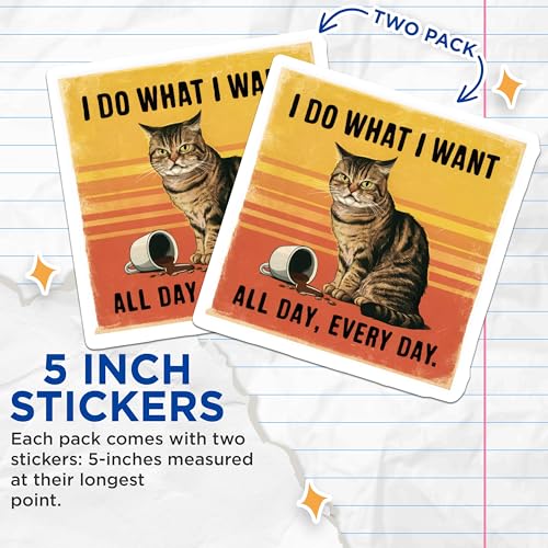 (2 Pack) Cat Humor Stickers - Funny Cat Quotes - All Day Every Day Cat Sticker Decal - 5" On Longest Side - Sticks to Smooth Flat Surfaces - Made in USA - BMCS5738