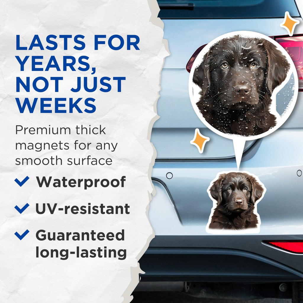 (2 Pack) Flat Coated Retriever Puppy Magnets - Adorable Brown Dog Decor - Pet Parent Refrigerator Art - 5 Inches On Longest Side - Thick Durable Magnet - Made in USA - MAG30595
