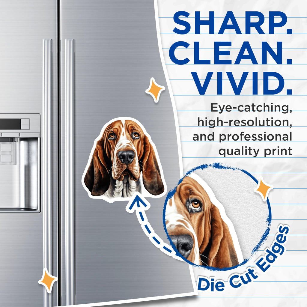 (2 Pack) Basset Hound Magnets - Adorable Dog Breed Refrigerator Decor - Canine Pet Owner Artwork - Unique Animal Houseware - 5 Inches On Longest Side - Thick Durable Magnet - Made in USA - MAG23912