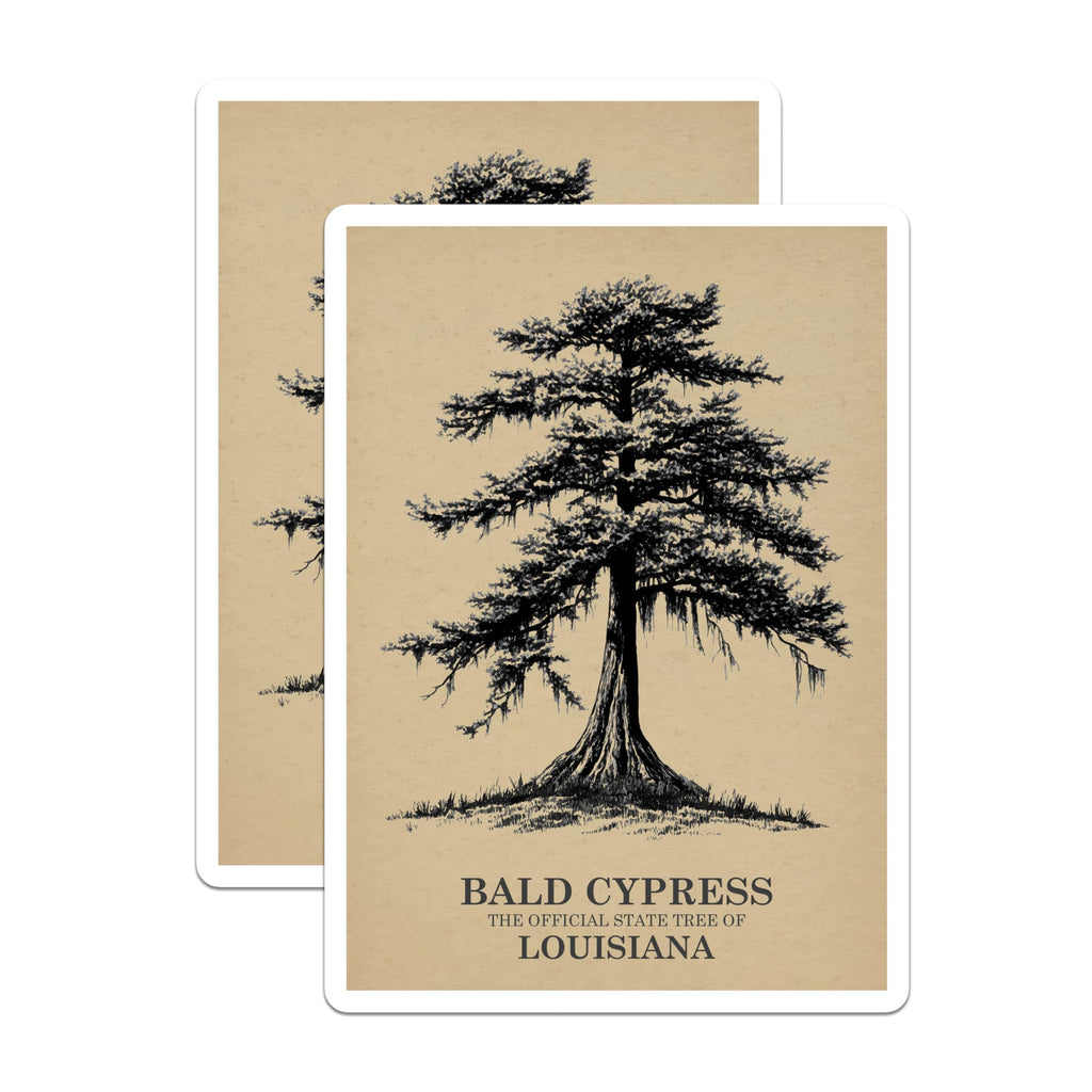 (2 Pack) Bald Cypress Magnets - Louisiana State Tree Decor - Tree Art Fridge Magnets - 5" On Longest Side - Premium Magnet - for Cars, Refrigerators, Toolboxes, Lockers - Made in USA - MAG17997