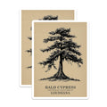 (2 Pack) Bald Cypress Magnets - Louisiana State Tree Decor - Tree Art Fridge Magnets - 5" On Longest Side - Premium Magnet - for Cars, Refrigerators, Toolboxes, Lockers - Made in USA - MAG17997