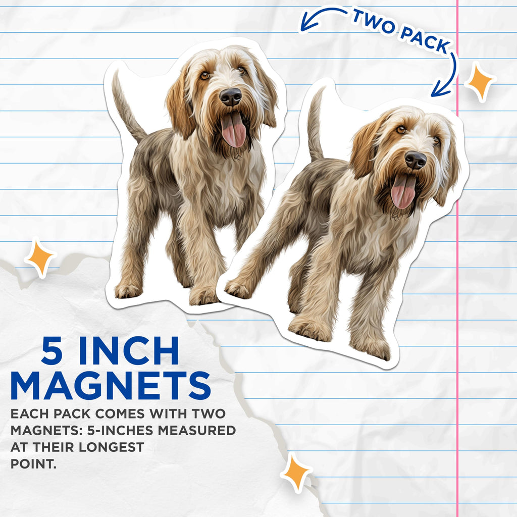 (2 Pack) Grand Basset Griffon Vendeen Magnets - Beloved Dog Breed Art - Shaggy Hound Enthusiast Decor - 5 Inches On Longest Side - Thick Durable Magnet - Made in USA - MAG23598