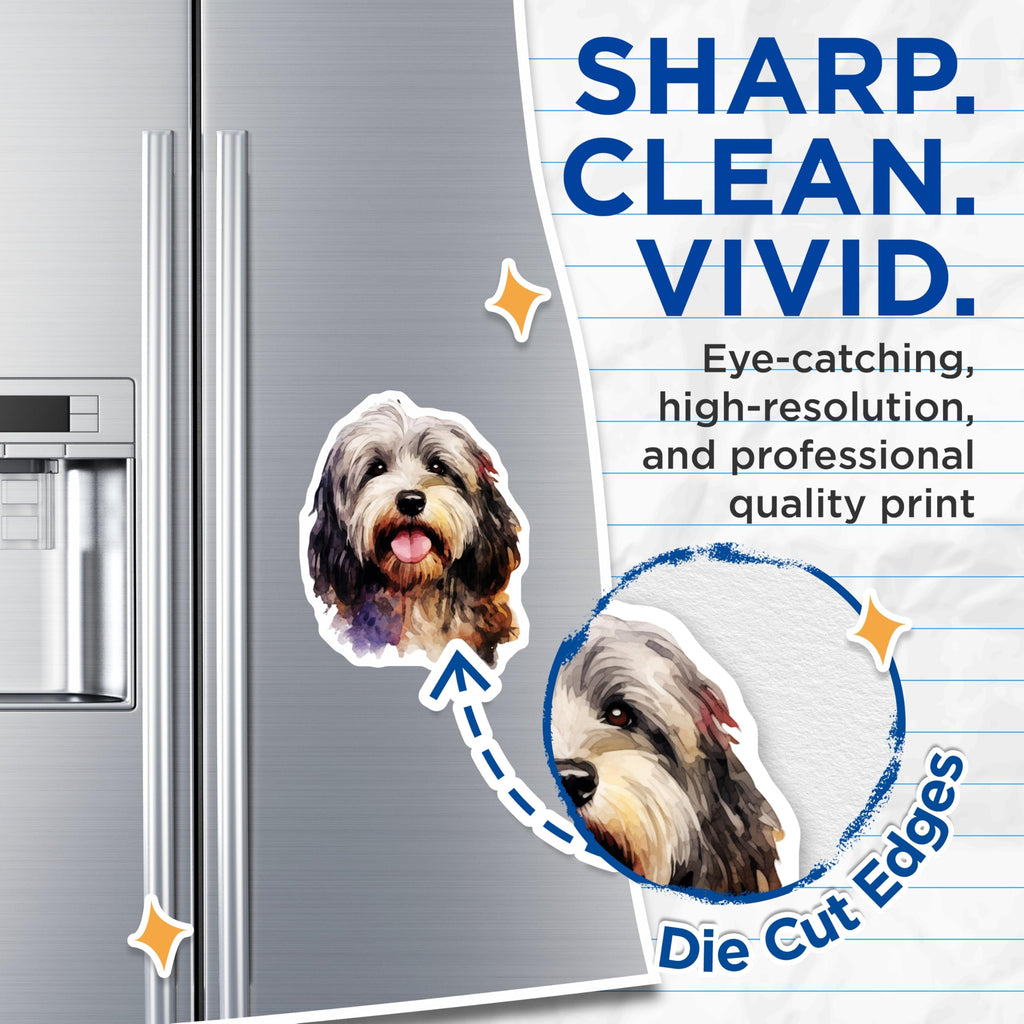 (2 Pack) Havanese Dog Watercolor Magnets - Cute Pet Animal - Dog Mom Dad Decor - 5 Inches On Longest Side - Thick Durable Magnet - Made in USA - MAG29435