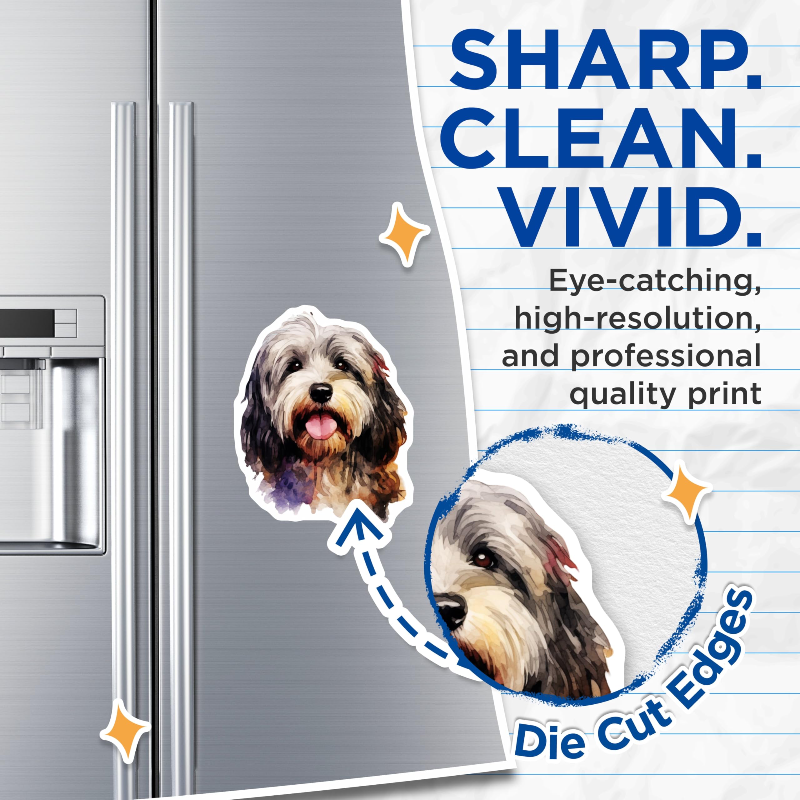 (2 Pack) Havanese Dog Watercolor Magnets - Cute Pet Animal - Dog Mom Dad Decor - 5 Inches On Longest Side - Thick Durable Magnet - Made in USA - MAG29435