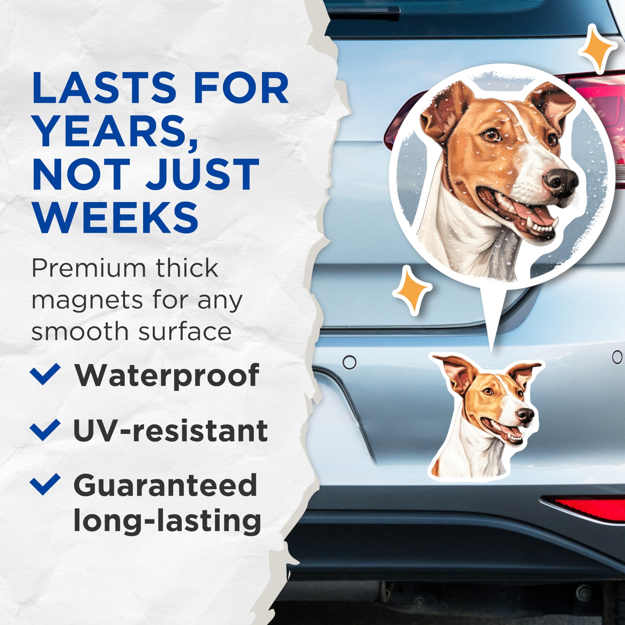 (2 Pack) Jack Russell Terrier Magnets - Energetic Dog Breed Artwork - Adorable Pet Lover Fridge Locker Home Decor - 5 Inches On Longest Side - Thick Durable Magnet - Made in USA - MAG23490