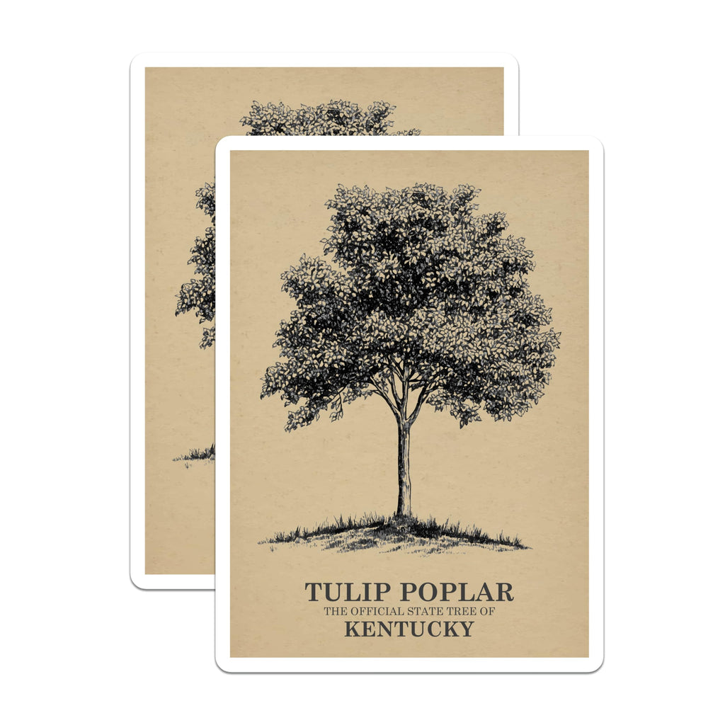 (2 Pack) Tulip Poplar Magnets - Kentucky State Tree - Botanical Art Magnet - 5" On Longest Side - Premium Magnet - for Cars, Refrigerators, Toolboxes, Lockers - Made in USA - MAG18203