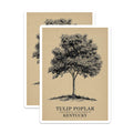 (2 Pack) Tulip Poplar Magnets - Kentucky State Tree - Botanical Art Magnet - 5" On Longest Side - Premium Magnet - for Cars, Refrigerators, Toolboxes, Lockers - Made in USA - MAG18203