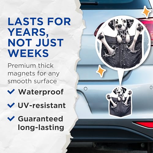 (2 Pack) Dalmatian Dog Magnets - Fridge - Animal Lover Gifts - 5" On Longest Side - for Cars, Fridges, Toolboxes - Made in USA - MAG3976