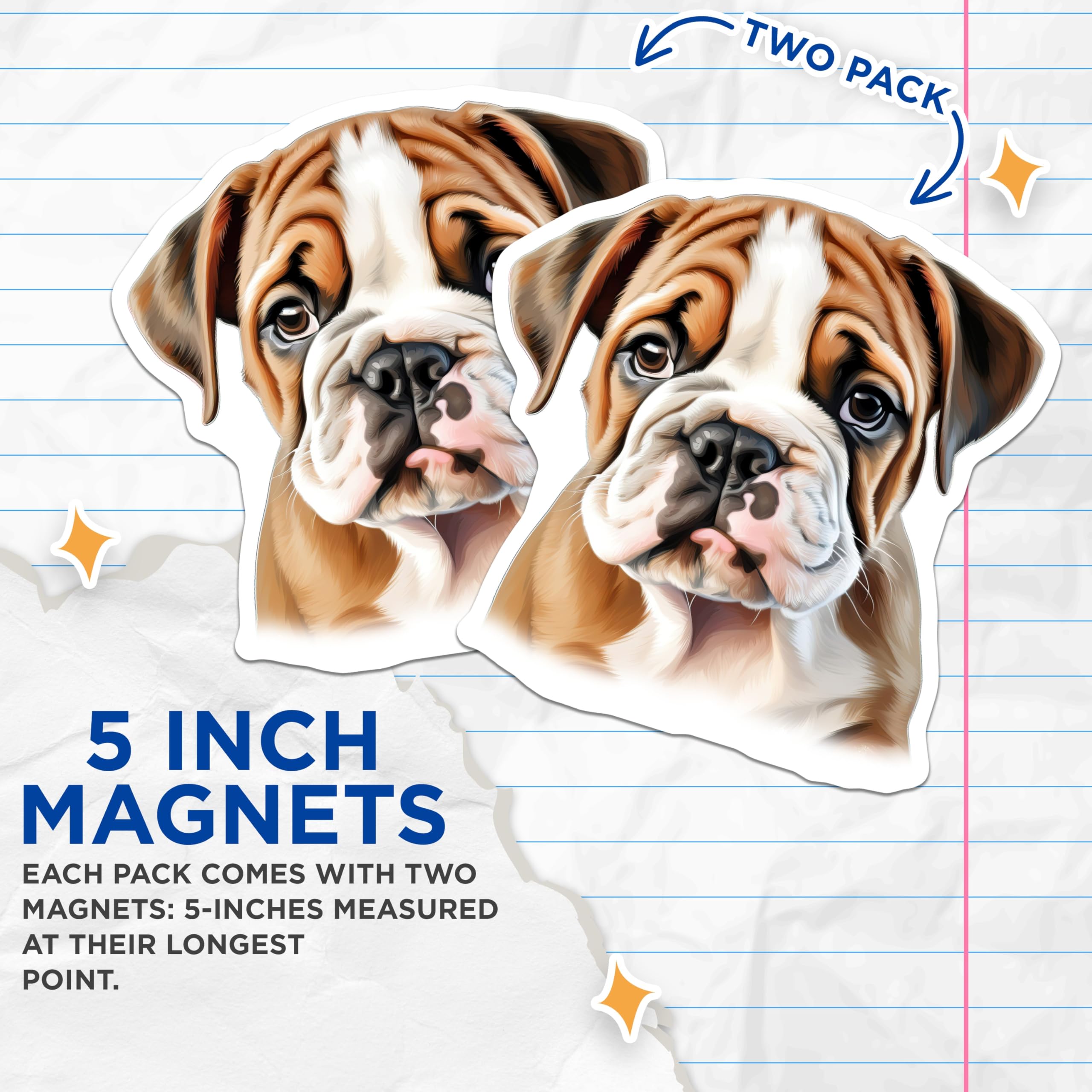 (2 Pack) English Bulldog Puppy Magnets - Cute Dog Decor - Pet Lover Accessory - Animal Owner Collectible - 5 Inches On Longest Side - Thick Durable Magnet - Made in USA - MAG25655