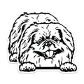 (2 Pack) Cute Pekingese Dog Stickers - Adorable Pet Stickers - Puppy Illustration Decal Stickers for Water Bottle - 5" On Longest Side - Sticks to Smooth Flat Surfaces - Made in USA - BMCS4047