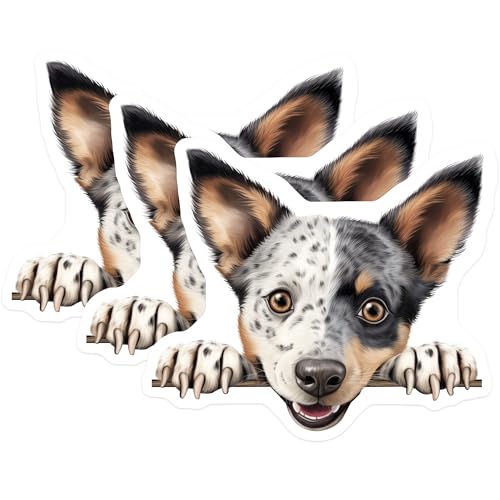 (3 Pack) Australian Cattle Dog Decals - Heeler Puppy - Dog Breed Stickers - 3 Inches On Longest Side - Easy Peel & Apply - Made in USA - 3MCS8602