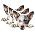 (3 Pack) Australian Cattle Dog Decals - Heeler Puppy - Dog Breed Stickers - 3 Inches On Longest Side - Easy Peel & Apply - Made in USA - 3MCS8602