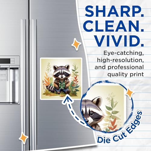 (2 Pack) Cute Raccoon Magnets Magnets - Animal Art Decor - Woodland Creature Illustration - 5" On Longest Side - Made in USA - Sticks to Refrigerators & Metal Surfaces - MAG8705