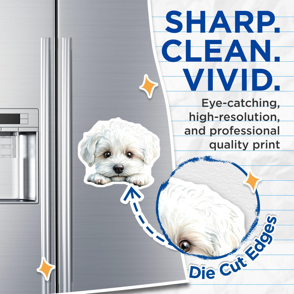 (2 Pack) Maltese Dog Magnets - Cute Puppy Art - Refrigerator Magnets - 5" On Longest Side - Premium Magnet - for Cars, Refrigerators, Toolboxes, Lockers - Made in USA - MAG14768