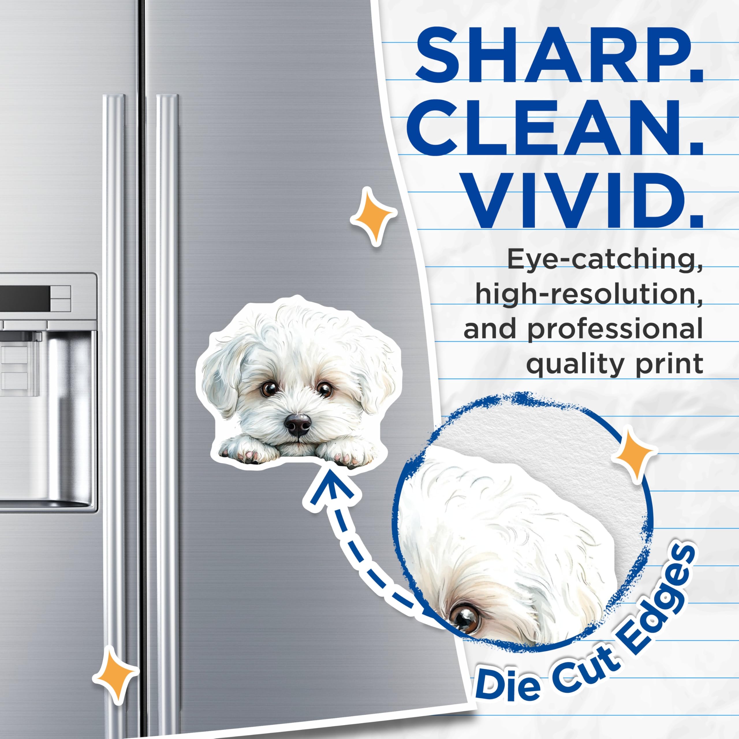 (2 Pack) Maltese Dog Magnets - Cute Puppy Art - Refrigerator Magnets - 5" On Longest Side - Premium Magnet - for Cars, Refrigerators, Toolboxes, Lockers - Made in USA - MAG14768
