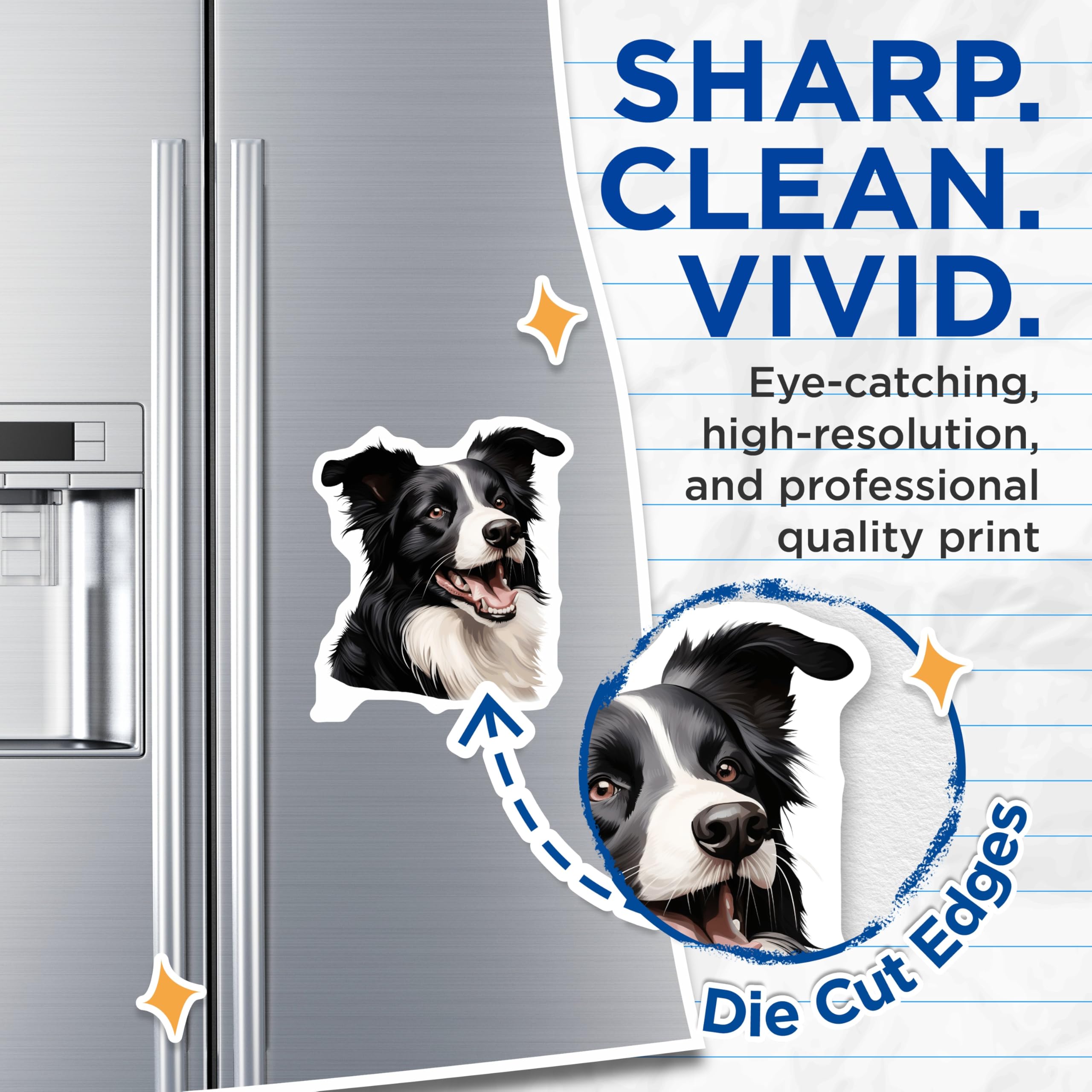 (2 Pack) Border Collie Magnets - Happy Dog Art - Pet Lover Refrigerator Decor - Dog Mom Dad Kitchen Accessory - 5 Inches On Longest Side - Thick Durable Magnet - Made in USA - MAG27574