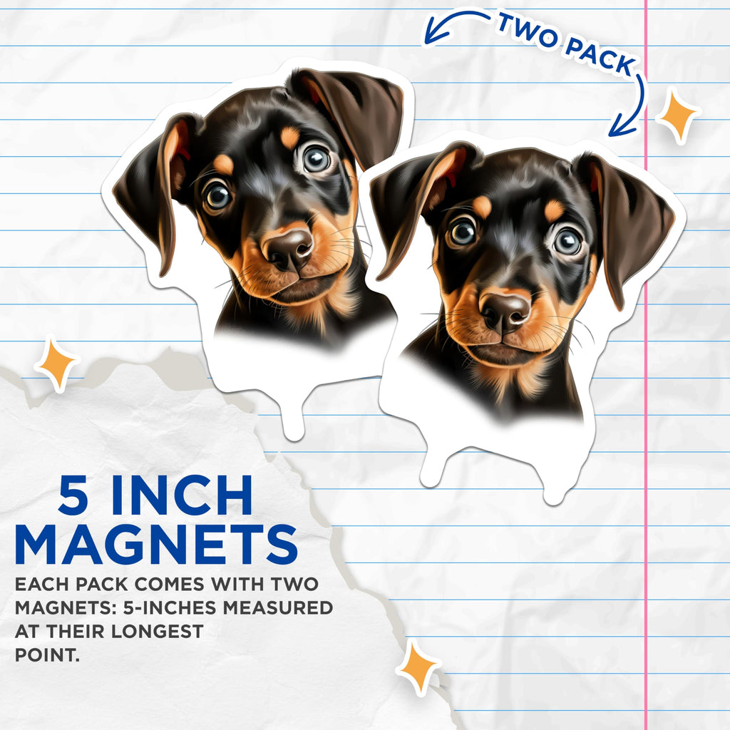 (2 Pack) Doberman Puppy Magnets - Cute Pet Lover Refrigerator Decor - New Canine Parent - 5 Inches On Longest Side - Thick Durable Magnet - Made in USA - MAG30881