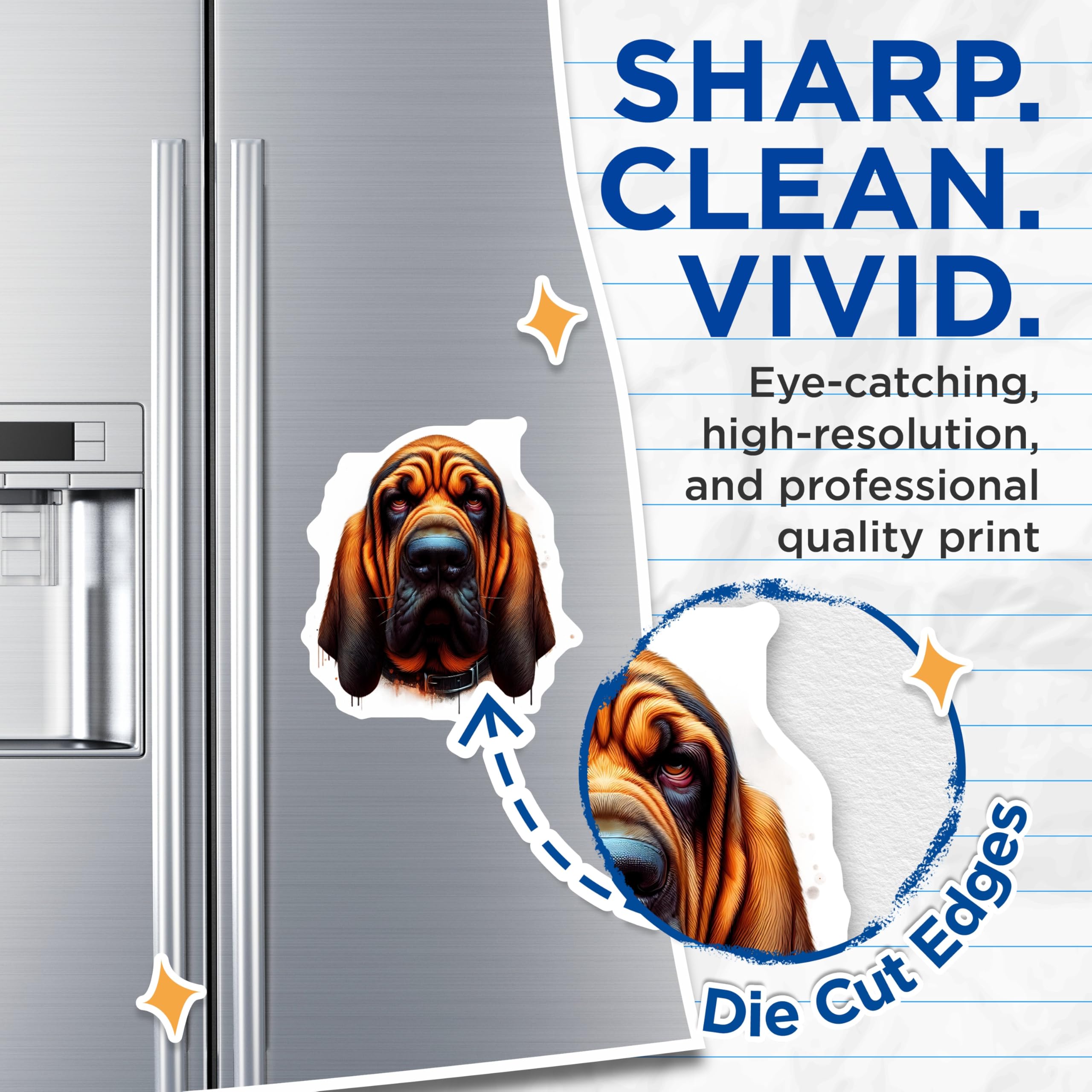 (2 Pack) Bloodhound Dog Magnets - Hound Puppy Home Decor - Unique Refrigerator Stickers - 5" On Longest Side - Premium Magnet - for Cars, Refrigerators, Toolboxes, Lockers - Made in USA - MAG14404
