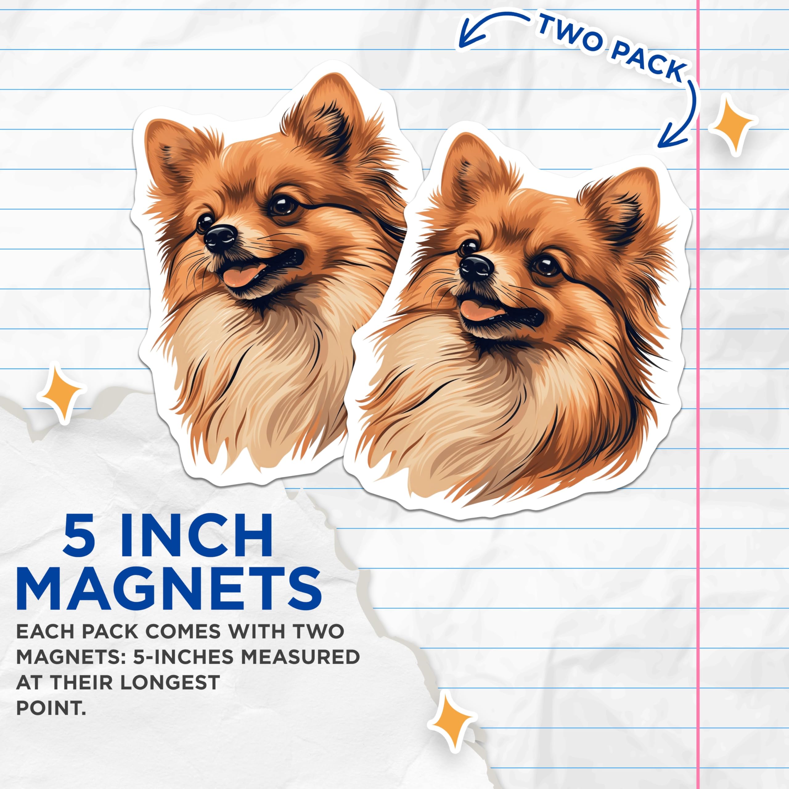 (2 Pack) Pomeranian Dog Magnets - Cute Pomeranian Decor - Pet Lover Accessories - 5 Inches On Longest Side - Thick Durable Magnet - Made in USA - MAG25869