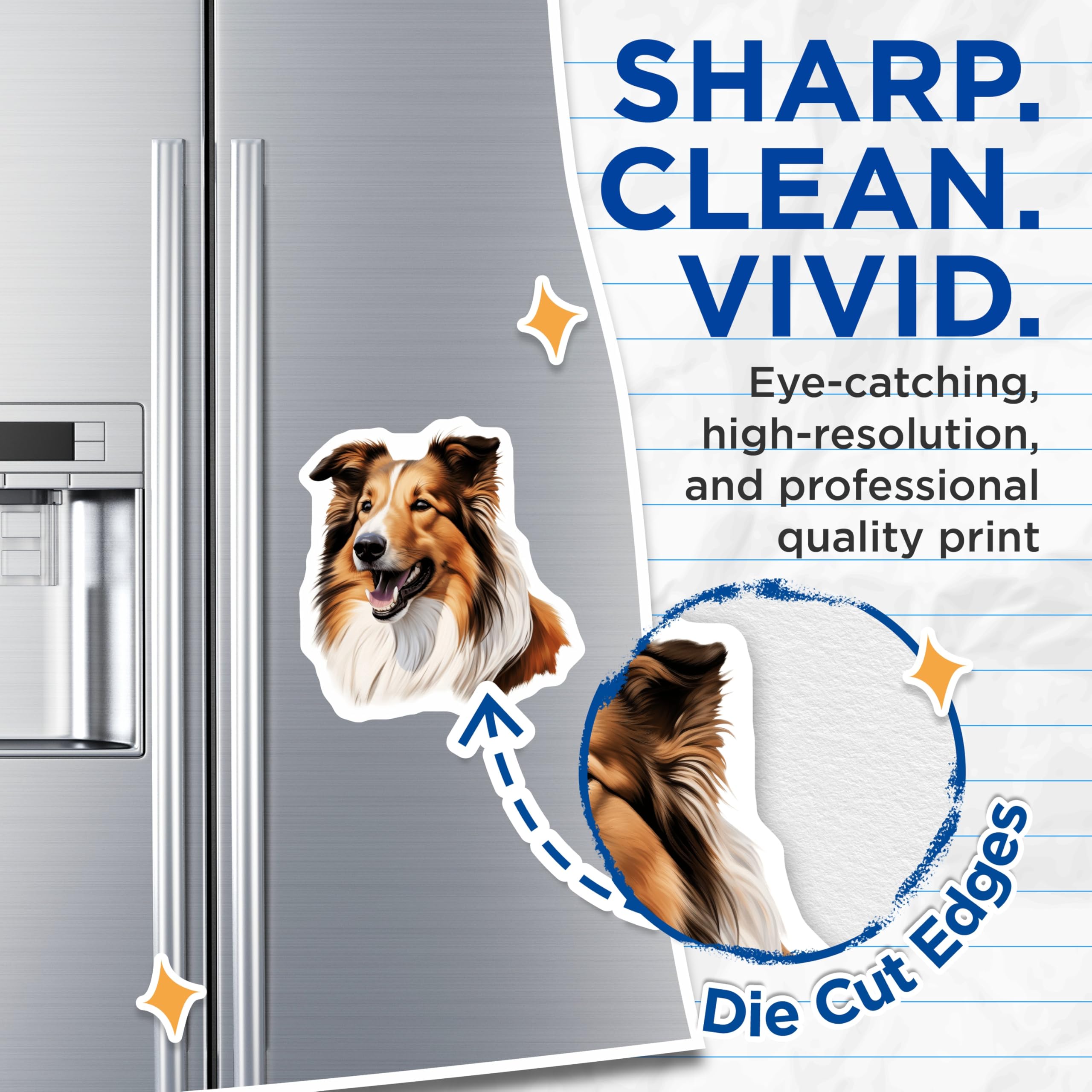 (2 Pack) Rough Collie Dog Magnets - Realistic Pet Portrait - Collie Mom Dog Lover Refrigerator Decor - 5 Inches On Longest Side - Thick Durable Magnet - Made in USA - MAG27599