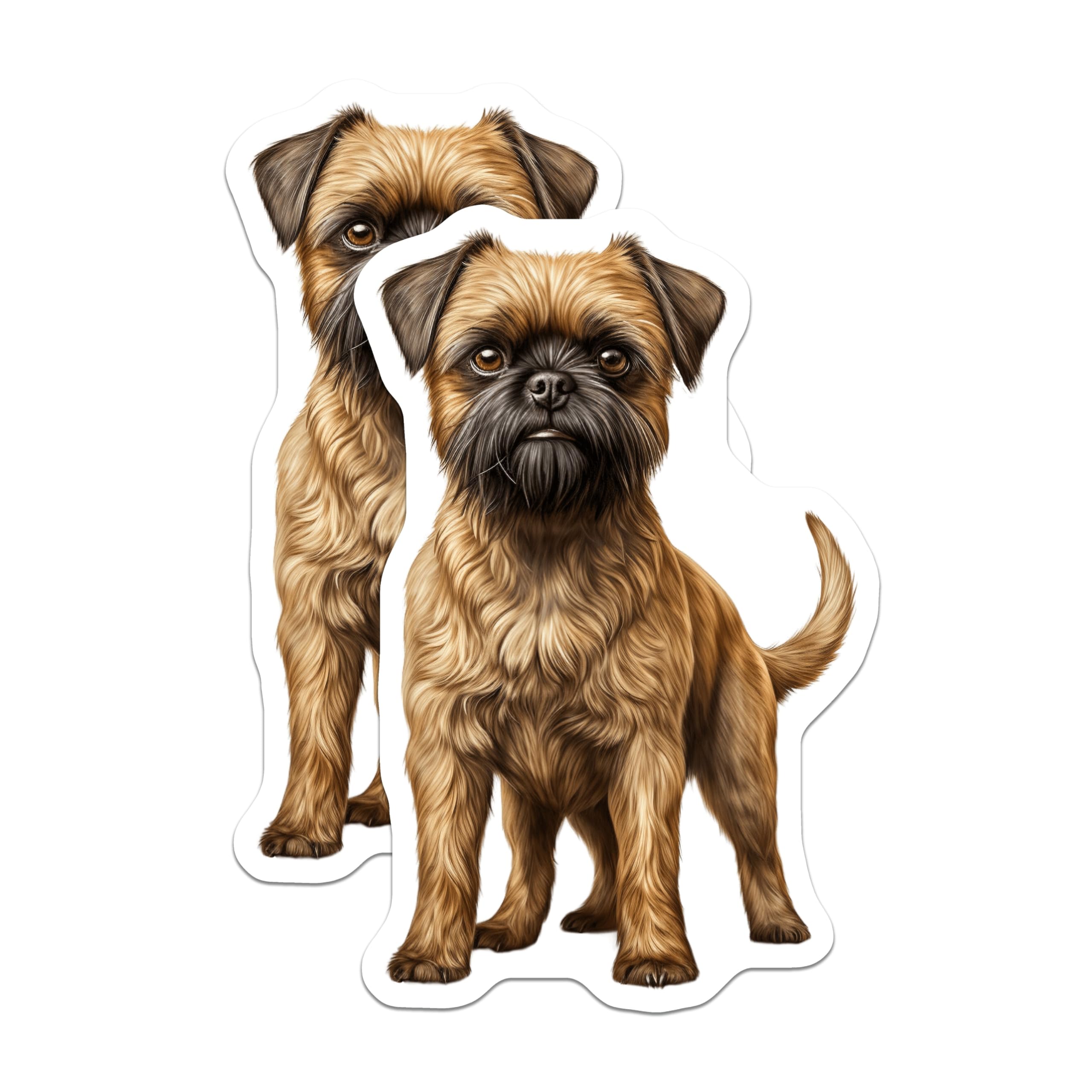 (2 Pack) Brussels Griffon Magnets - Dog Breed Portrait - Pet Lover Home Decor - Dog Mom Dad Decor - 5 Inches On Longest Side - Thick Durable Magnet - Made in USA - MAG25554