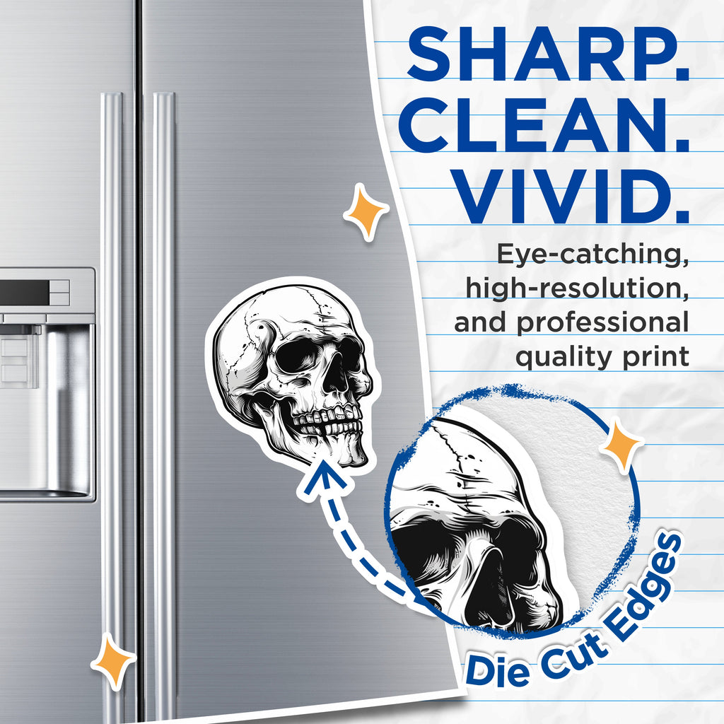 (2 Pack) Skull Magnets - Gothic Decor - Skeleton Art - Macabre Refrigerator Magnets - Halloween Home - 5 Inches On Longest Side - Thick Durable Magnet - Made in USA - MAG37465