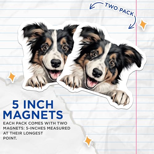 (2 Pack) Pet Lover Decor Magnet - 5" On Longest Side - Sticks to Smooth Flat Surfaces - Made in USA - MAG9940