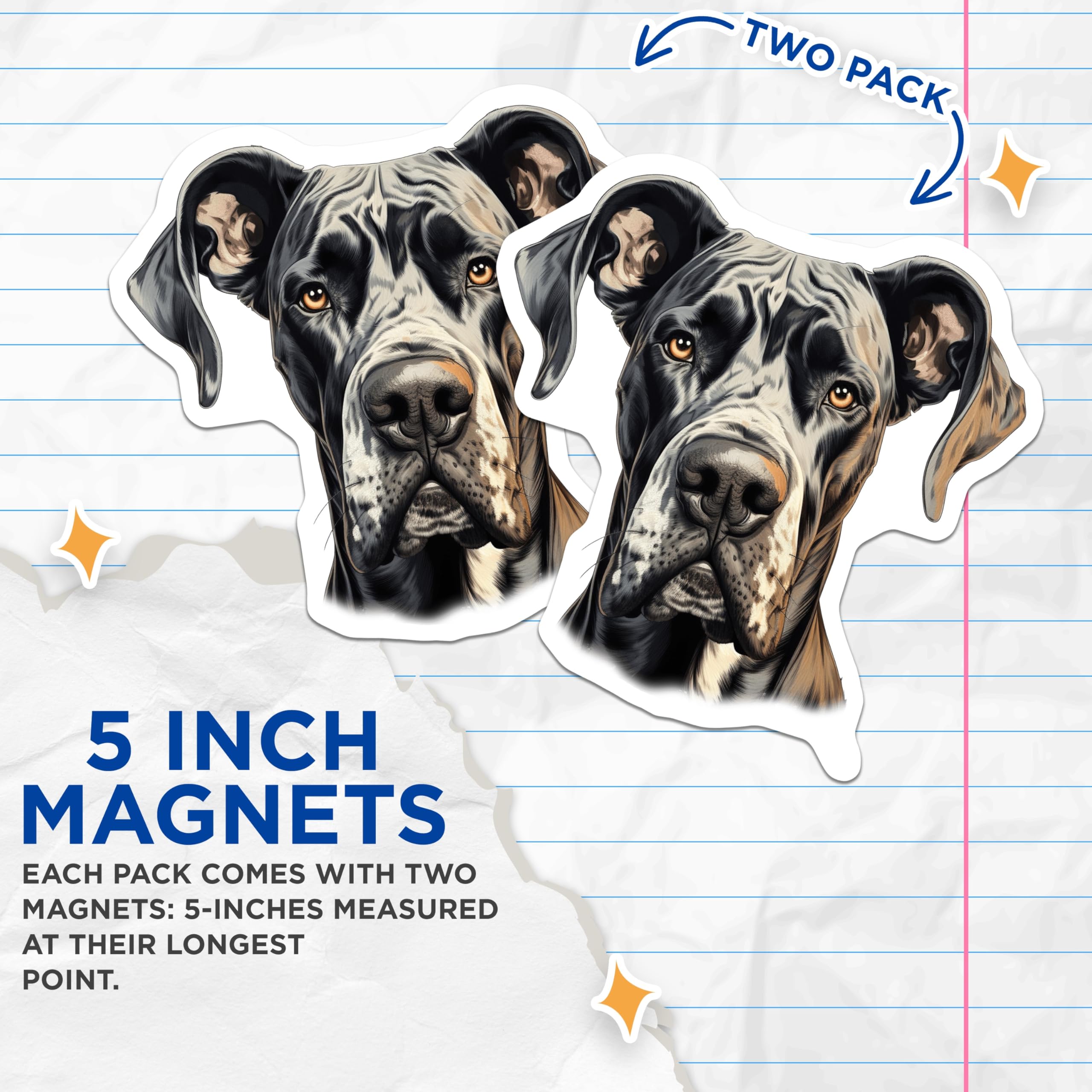 (2 Pack) Great Dane Magnets - Harlequin Dog Portrait - Dog Mom Dad Home Decor Accent - 5 Inches On Longest Side - Thick Durable Magnet - Made in USA - MAG28318