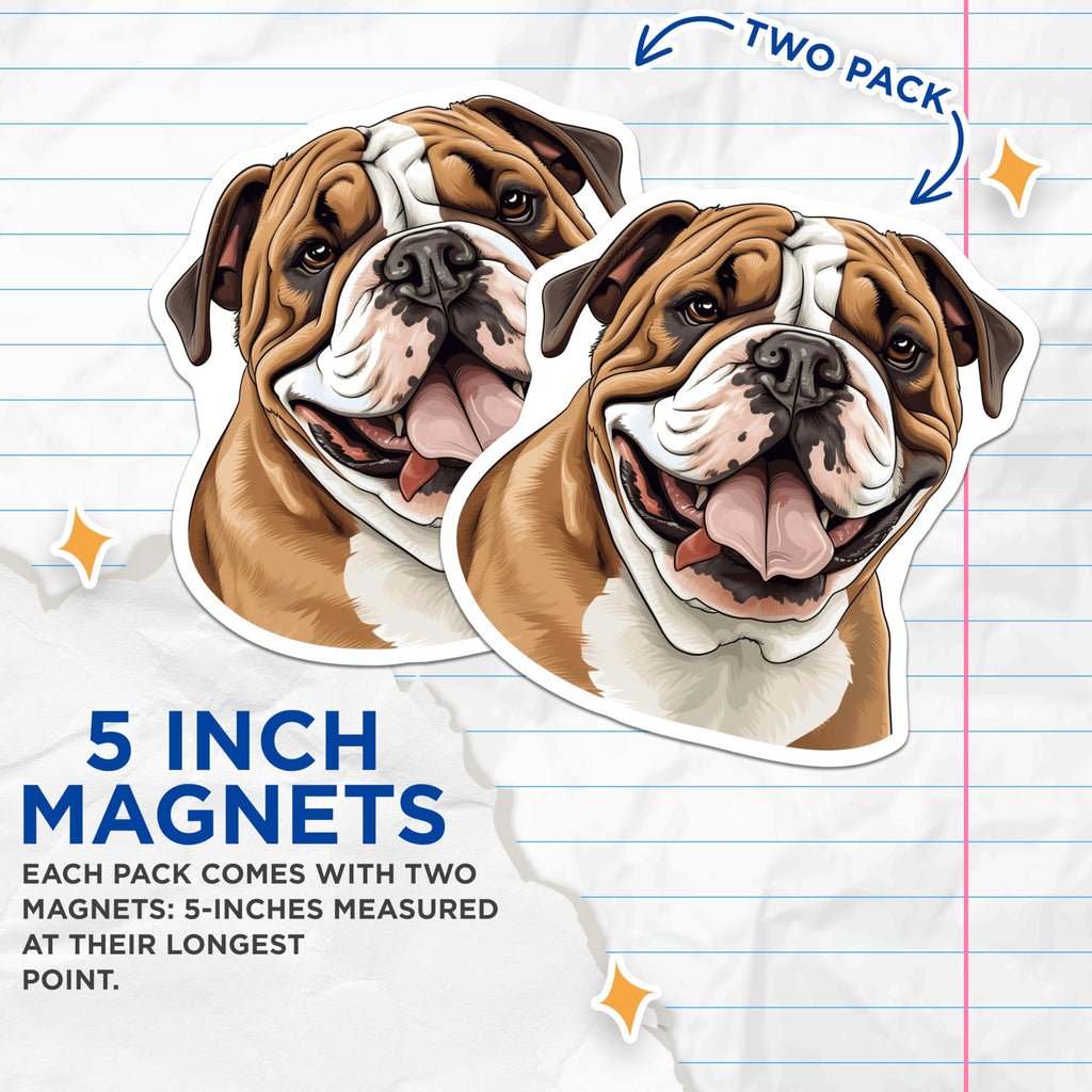 (2 Pack) Bulldog Magnets - English Bulldog Dog Lover - Pet Owner Refrigerator Decor - 5 Inches On Longest Side - Thick Durable Magnet - Made in USA - MAG27558