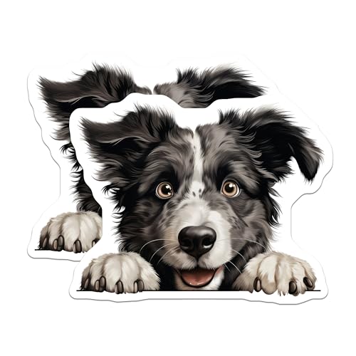 (2 Pack) Cute Dog Stickers - Border Collie Designs - Animal Vinyl Decals - 5" On Longest Side - Sticks to Smooth Flat Surfaces - Made in USA - BMCS9945
