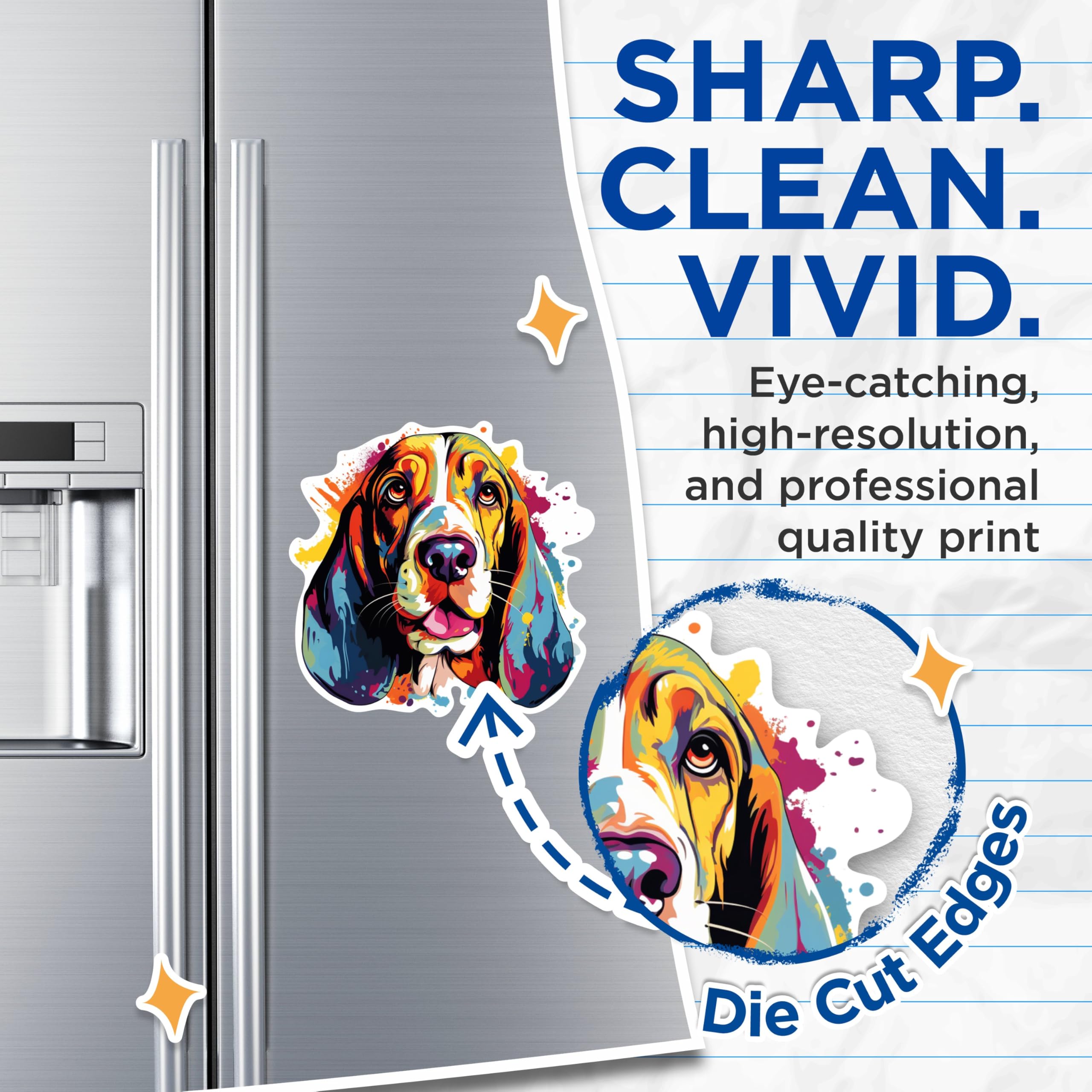 (2 Pack) Basset Hound Dog Breed Magnets - 5 Inches On Longest Side - Choose from Over 100 Dog Breeds - for Cars, Refrigerators, Toolboxes - Made in USA - MAG1767