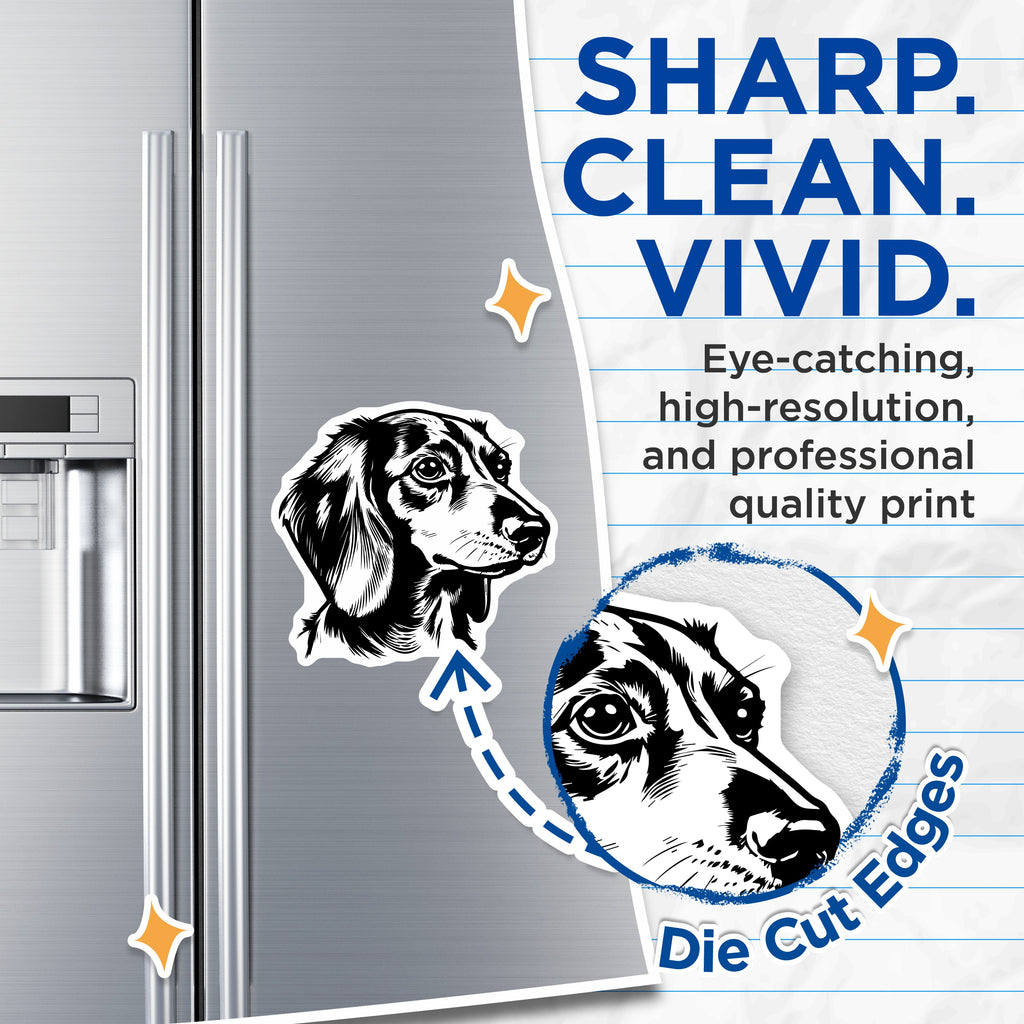 (2 Pack) Dachshund Dog Magnets - Wiener Dog Refrigerator Decor - Minimalist Black White Pet Art for Dog Lovers - 5 Inches On Longest Side - Thick Durable Magnet - Made in USA - MAG38342
