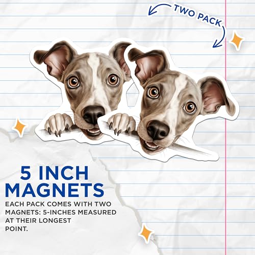(2 Pack) Dog Lover Refrigerator Decor Magnet - 5" On Longest Side - Sticks to Smooth Flat Surfaces - Made in USA - MAG10204