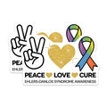 (2 Pack) Ehlers Danlos Syndrome Awareness Magnets - Peace Love Cure Chronic Illness Support - EDS Spoonie Decor - 5 Inches On Longest Side - Thick Durable Magnet - Made in USA - MAG39984