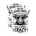 (2 Pack) Funny Highland Cow Magnets - Crazy Quote Decor - Quirky Animal Refrigerator Magnet for Friends - 5 Inches On Longest Side - Thick Durable Magnet - Made in USA - MAG39561