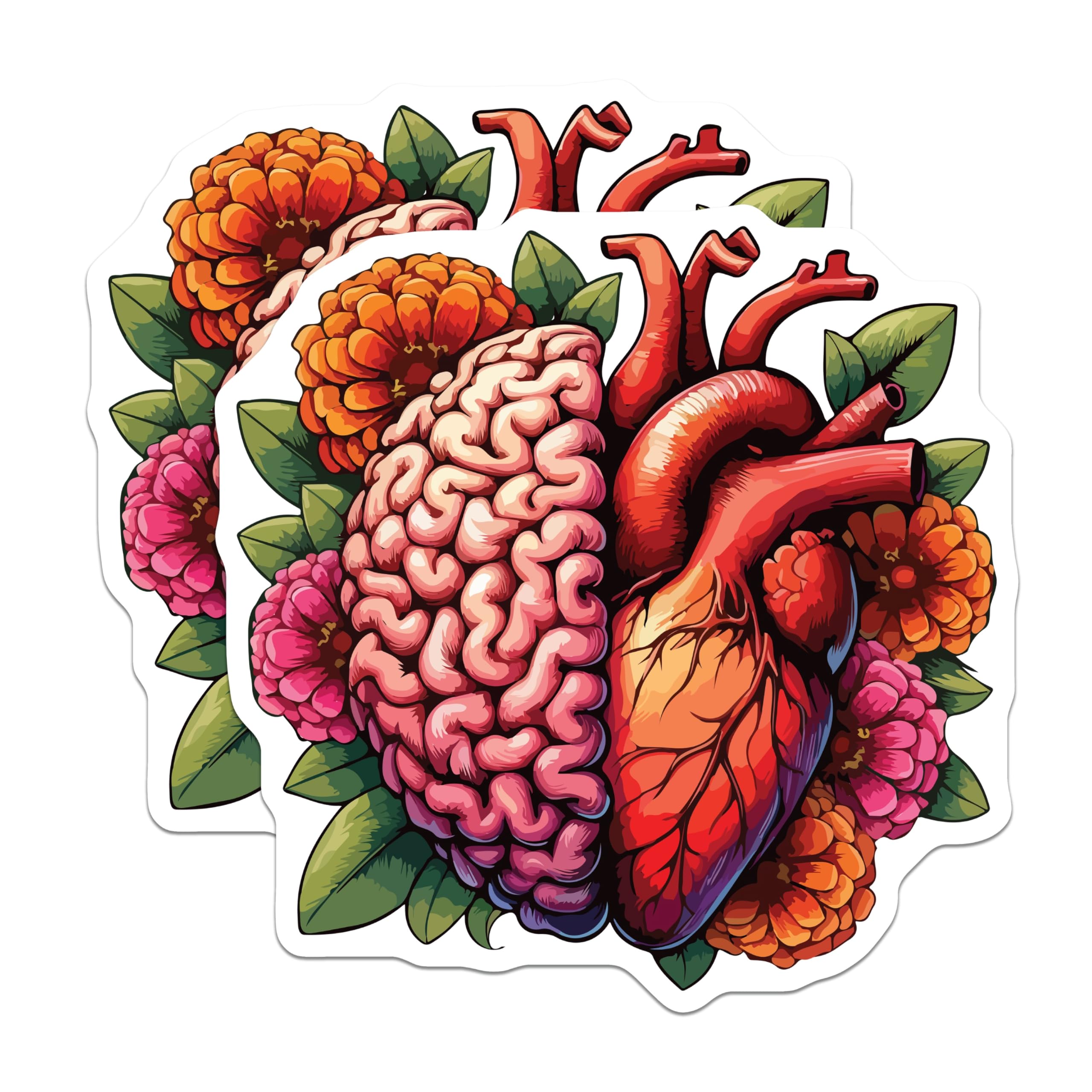 (2 Pack) Brain Heart Magnets - Floral Anatomy Art Decor - Mind Emotion Balance Design - Science Aesthetic Magnets - 5 Inches On Longest Side - Thick Durable Magnet - Made in USA - MAG19626