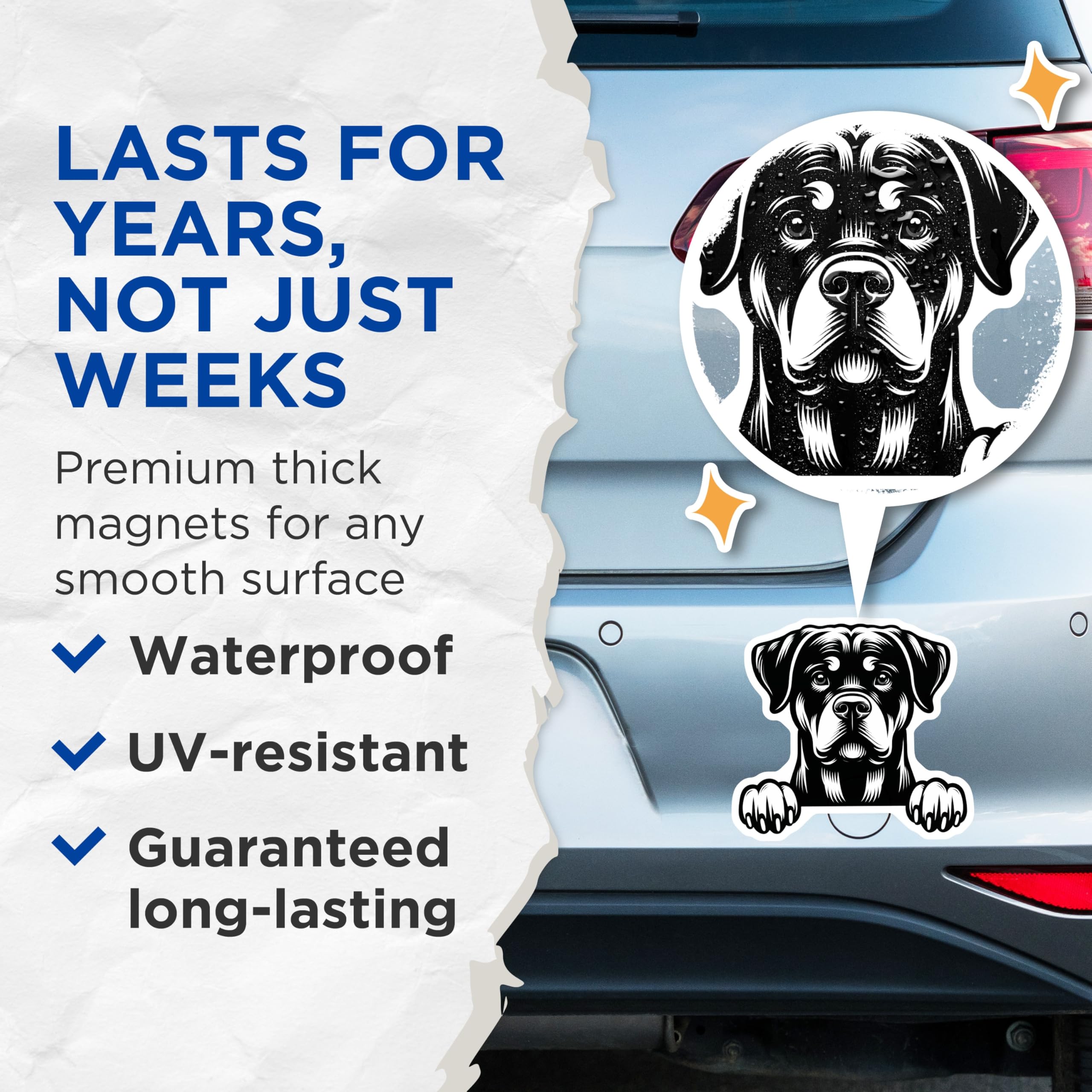 (2 Pack) Rottweiler Magnets - Cute Dog Breed - Dog Lover Present - 5" On Longest Side - Premium Magnet - for Cars, Refrigerators, Toolboxes, Lockers - Made in USA - MAG15559