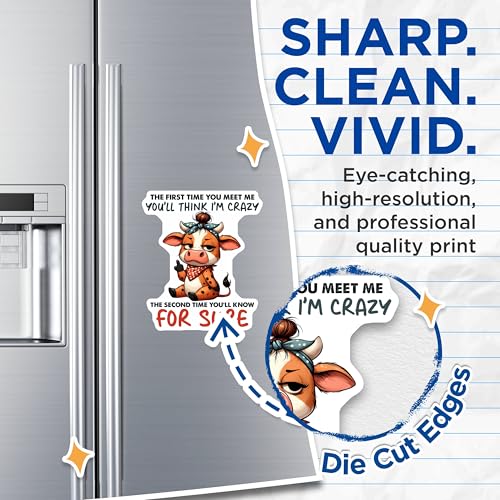 (2 Pack) Cute Cow Magnets - Funny Sayings - Quirky Animal - Humor Refrigerator Magnets - 5" On Longest Side - for Cars, Fridges, Toolboxes - Made in USA - MAG3777