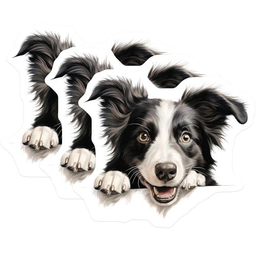 (3 Pack) Border Collie Decals - Dog Lover Decor - Cute Puppy Decals - 3 Inches On Longest Side - Easy Peel & Apply - Made in USA - 3MCS8644
