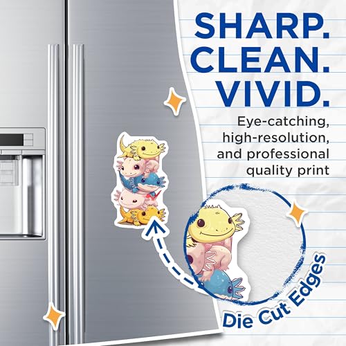 (2 Pack) Cute Axolotl Magnets - Adorable Animal Art - Fun Refrigerator Decoration - 5" On Longest Side - for Cars, Fridges, Toolboxes - Made in USA - MAG7787