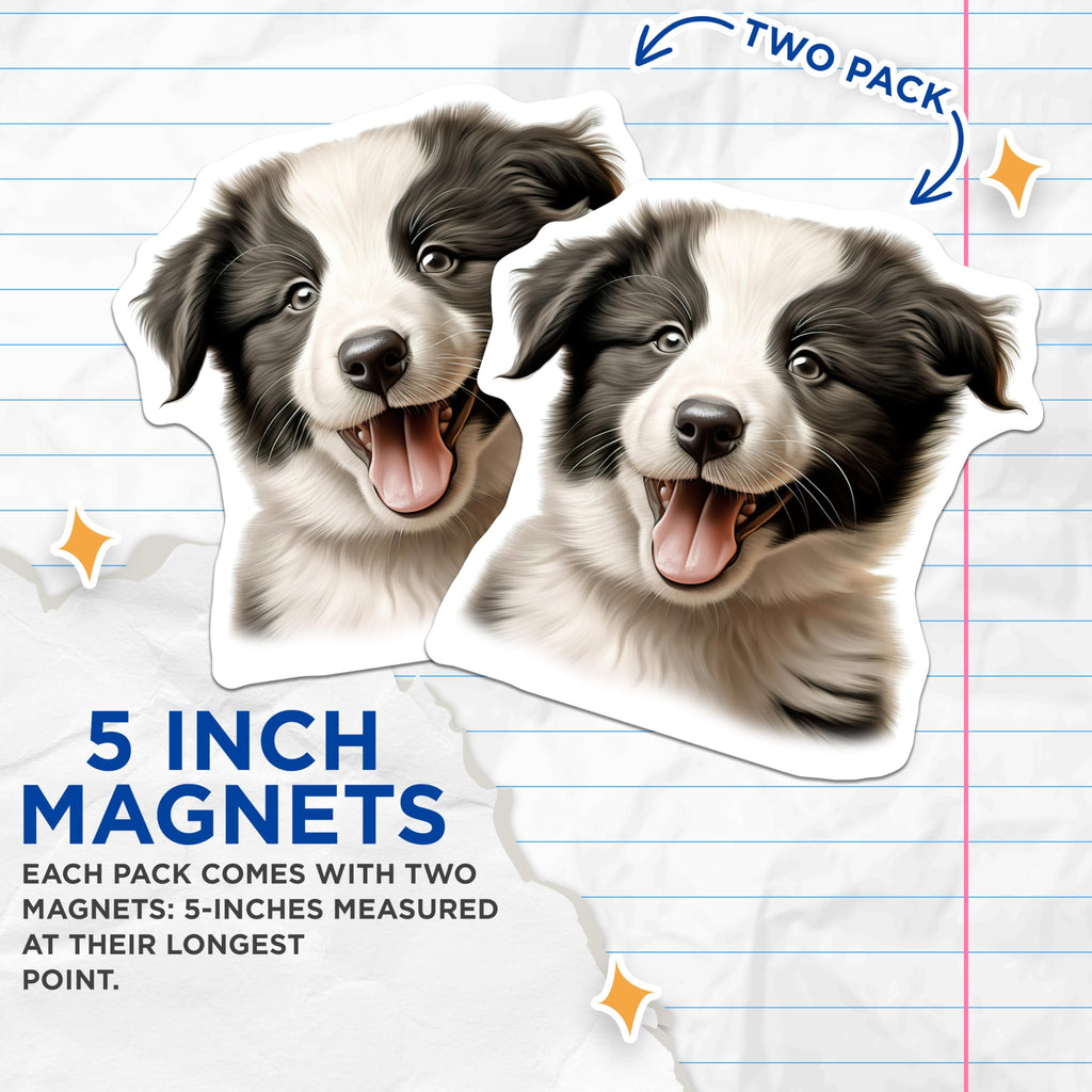 (2 Pack) Border Collie Puppy Magnets - Cute Dog Refrigerator Decor - Pet Owner Kitchen Accessories - 5 Inches On Longest Side - Thick Durable Magnet - Made in USA - MAG28045