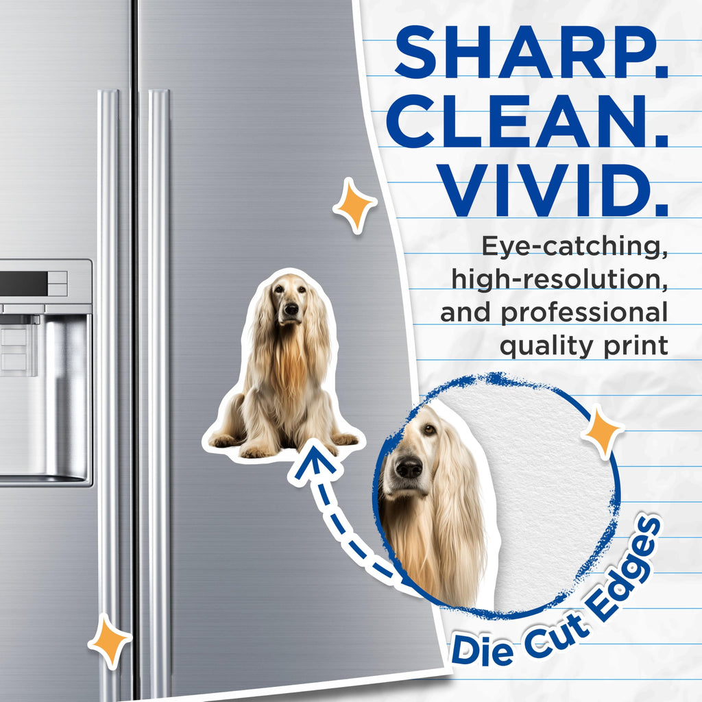 (2 Pack) Afghan Hound Dog Magnets - Elegant Pet Lover Decor - Animal Enthusiast Fridge Accessories - 5 Inches On Longest Side - Thick Durable Magnet - Made in USA - MAG25504