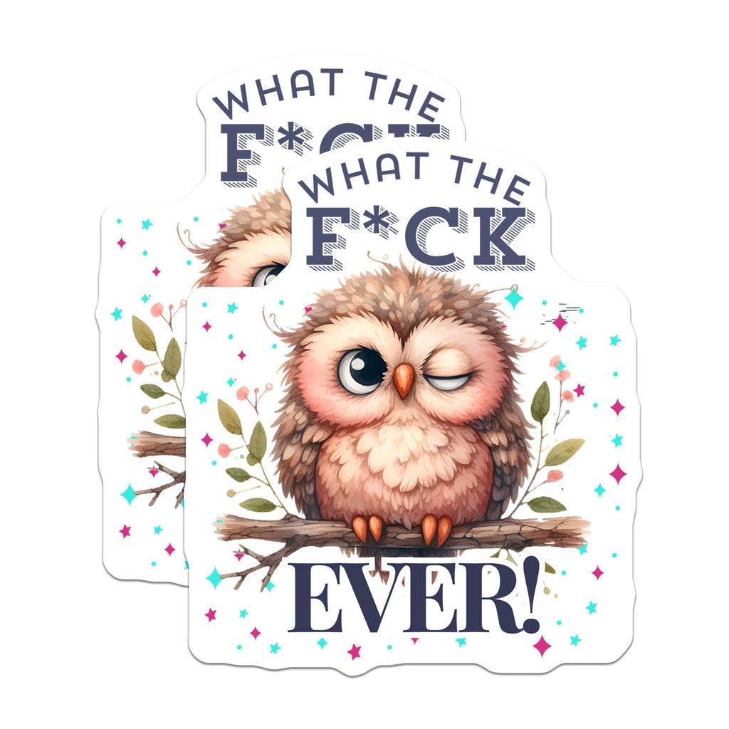 (2 Pack) Funny Owl Stickers - Witty Animal Humor - Cute Swearing Bird Decals - 5" On Longest Side - Sticks to Smooth Flat Surfaces - Made in USA - BMCS5930